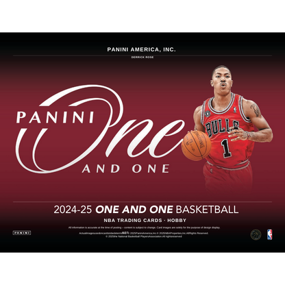 2024/25 Panini One &amp; One Basketball Hobby 10 Box Case