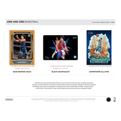 2024/25 Panini One &amp; One Basketball Hobby 10 Box Case